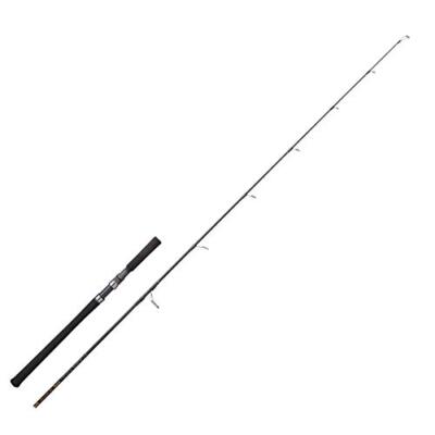 TENRYU Spinning Rod Spike SK722S-ML