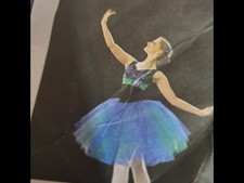 blue velvet ballet tutu dress