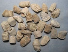 Lot of 30 Dug Civil War Fired Bullets from Charleston, SC