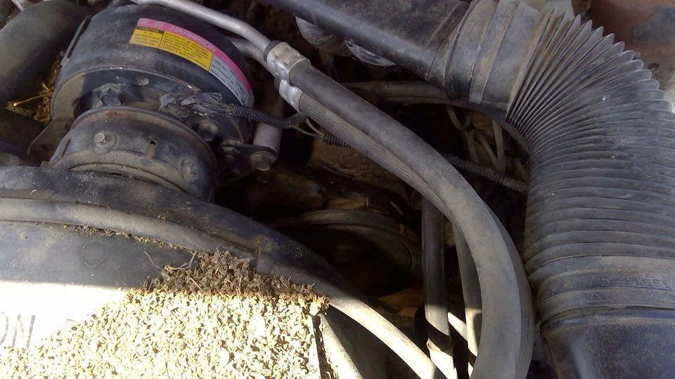 1983 Pontiac Firebird bomba de direção hidráulica com suporte de montagem fabricante de equipamento original 2,8l - Imagem 3 de 4