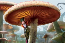 ALICE IN WONDERLAND STRETCHED CANVAS WALL ART READY TO HANG CP375