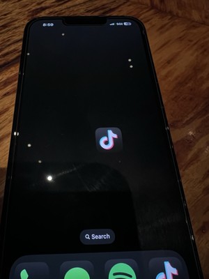 iPhone 13 Pro With TIK TOK