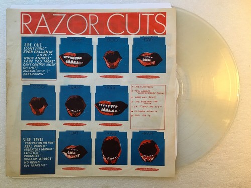 Various Punk / New Wave / Powerpop 12" & LPs MULTI-LISTING - Picture 34 of 232