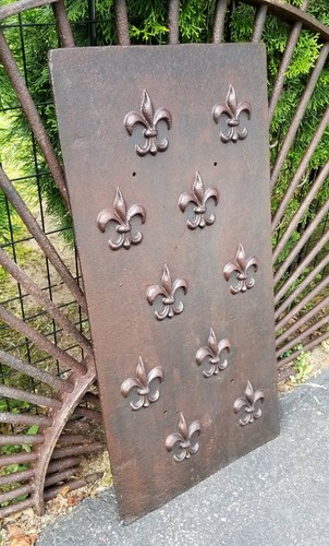 Panel de cámara antiguo flor de lis parque forestal Springfield Ma C1890 - Imagen 6 de 9