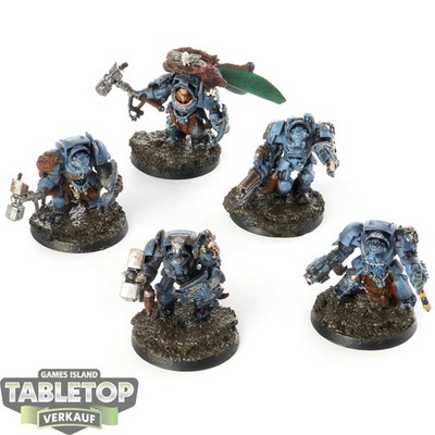 Space Wolves - 5 x Wolf Guard Terminators - bemalt