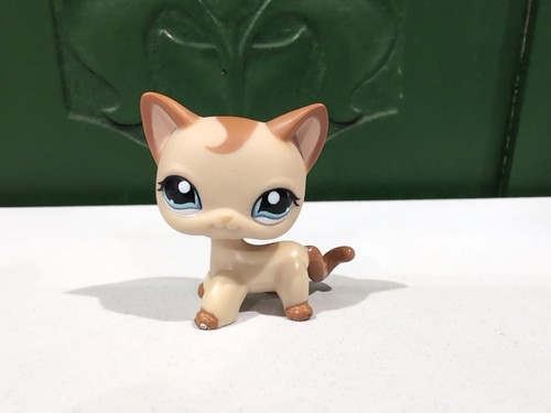 LPS Littlest Pet Shop #1024 Chat Européen Authentique Hasbro - Occasion