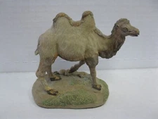Camel Wildlife Preservation Camelus Bactrianus 1987
