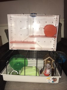 olimpia hamster cage