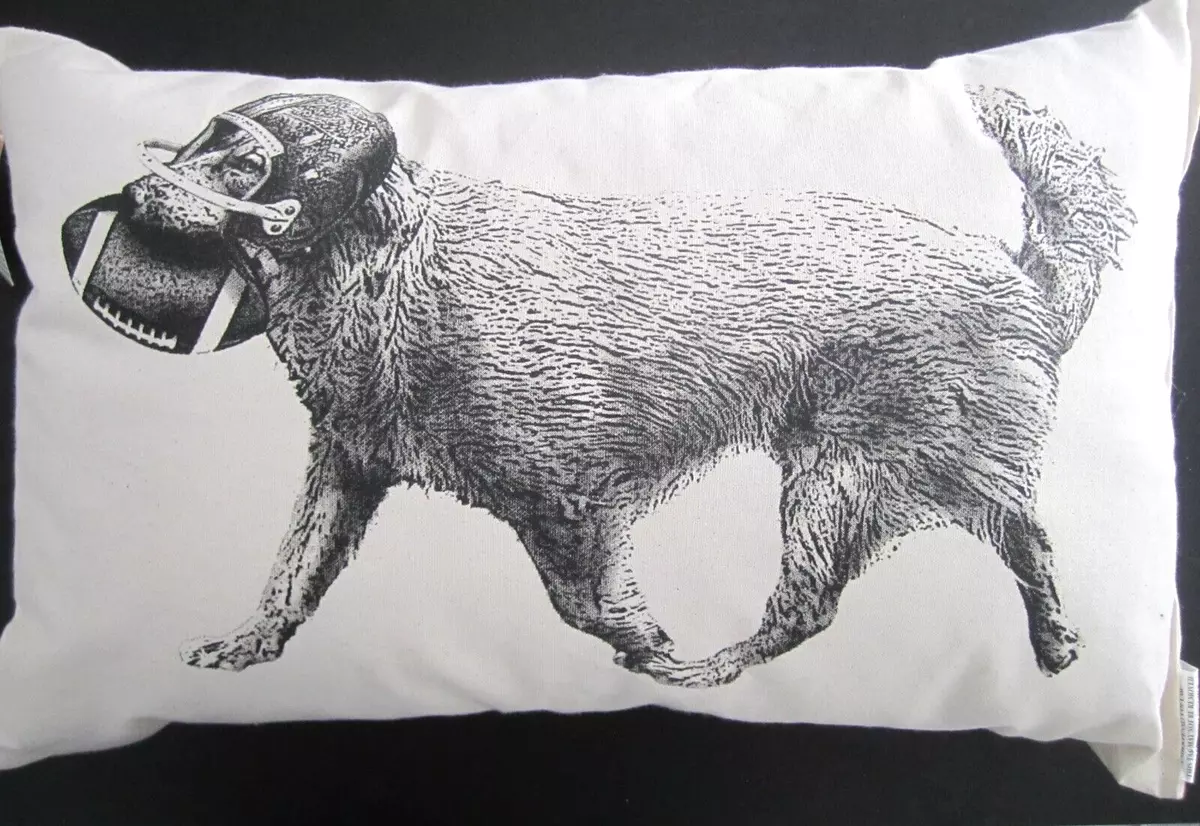 Maya pickles 2025 dog pillows