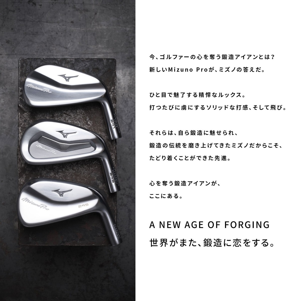 Mizuno Pro 241 Iron Wedge #5-pw 6p Set S200-Flex Dynamic Gold HT 
