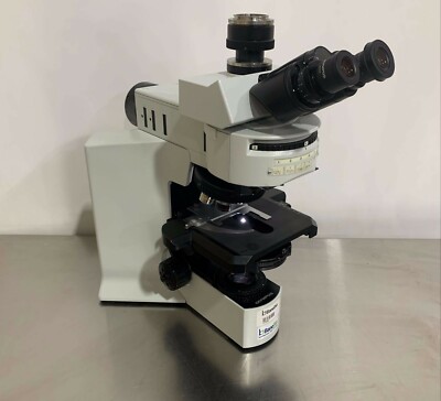 Olympus Fluorescence Microscope BX51