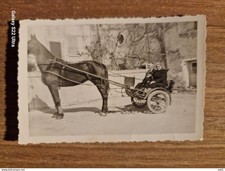 21704. Fotografia uomo donna bambino in calesse cavallo italia 8,5x6