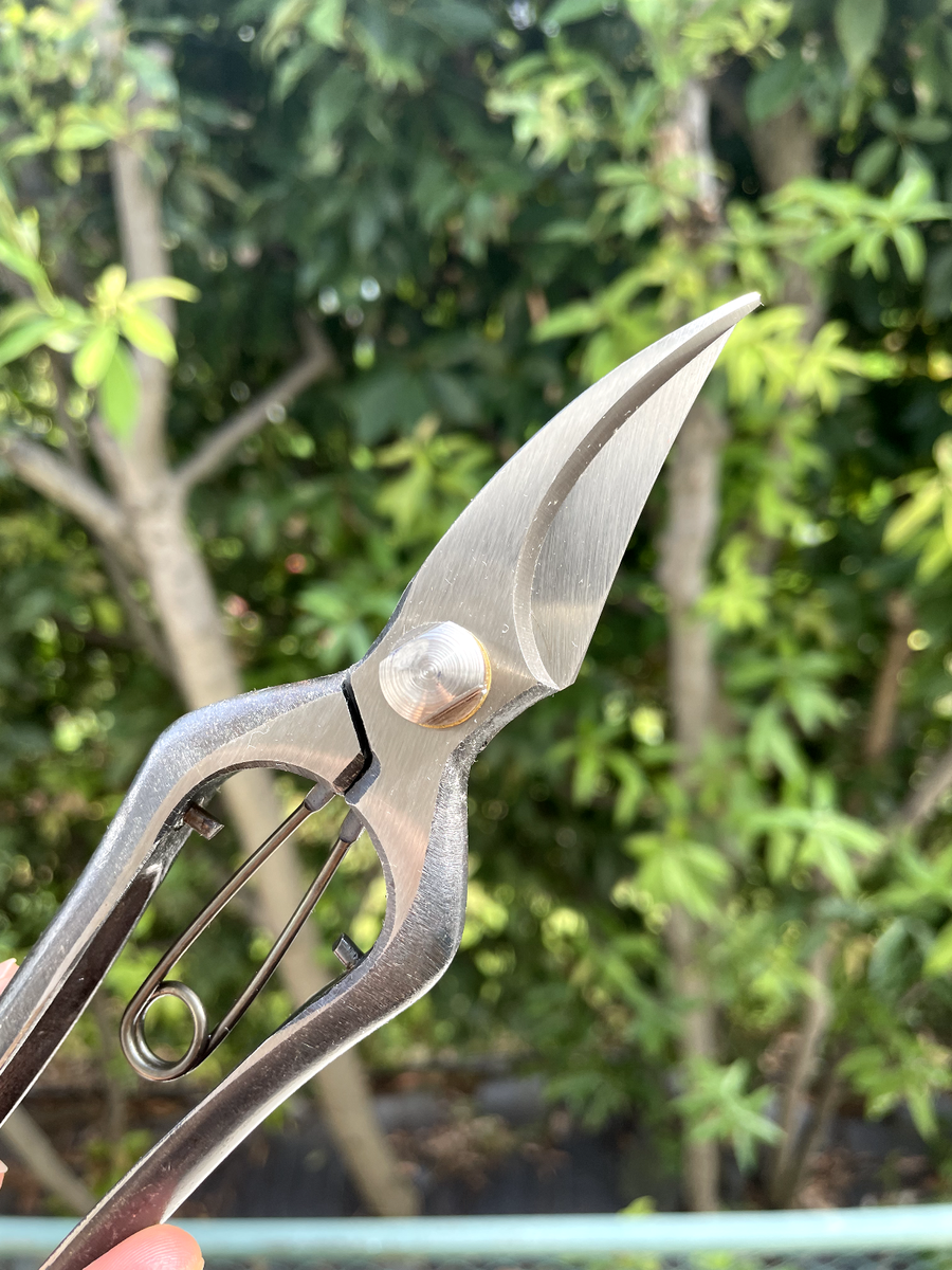 Bonsai tools Japan MURAHISA 180MM. 村久 片刃芽切鋏180mm 革 Bonsai tools Japan MURAHISA 180MM. 村久 片刃芽切鋏180mm 革