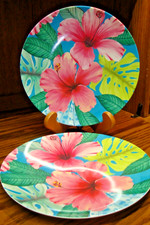 Set 2 Spring/Summer 10.5" Dinner Plates Tropical Luau Beach Poolside BBQ  Q18