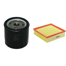 Filtre à huile Lada 110