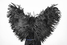 Black Angel Wings for Cosplay / Photoshoot / Music Video   Lightweight, Detachab