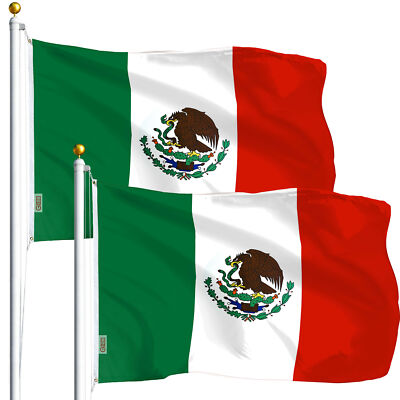 Mexico Mexican Flag 3x5FT 2-Pack Printed Polyester By G128