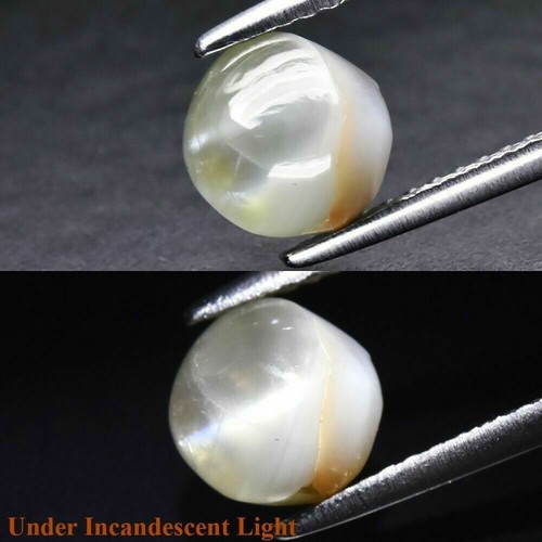 Apatite oeil de chat 13,07 carats – E Gemmes Stones
