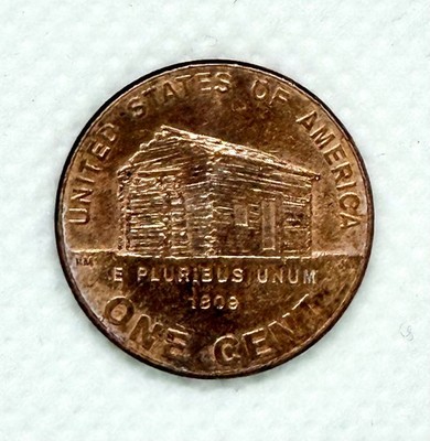 2009 D Early Childhood Lincoln Log Cabin Penny!! | eBay