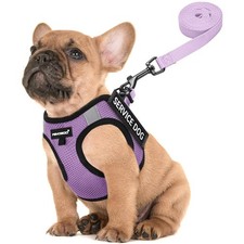 FAYOGOO Service Dog Vest Small Breed Harness 6 Patches Lightweight Training