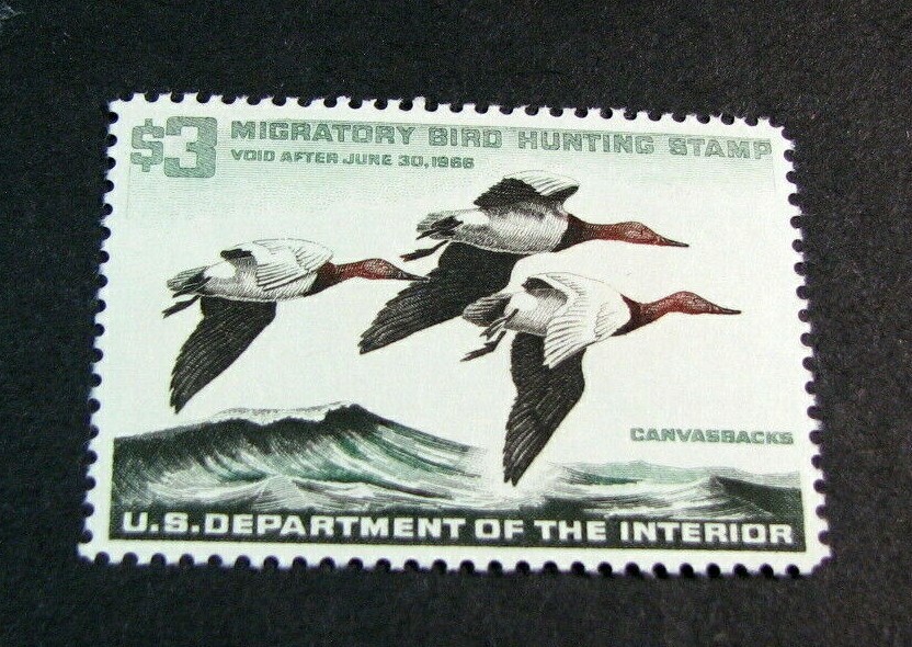 US Duck Stamps Scott# RW32 Canvasback Drakes 1965 MLH L494(1) | eBay