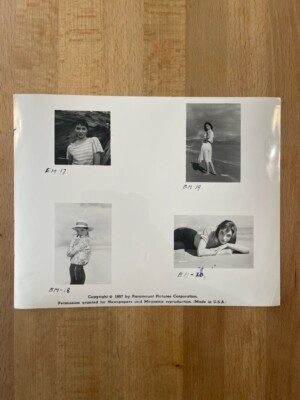 Elsa Martinelli: Hatari - 1 photo 20 x 25 - BE