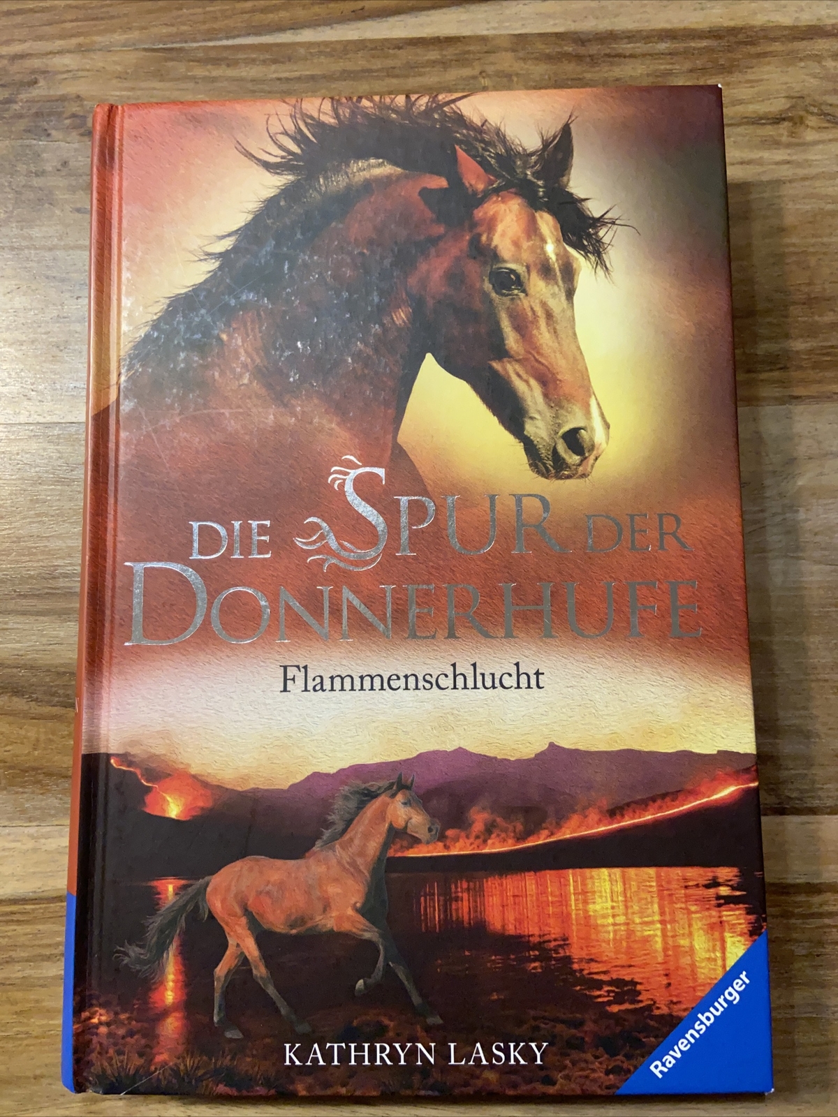 Die Spur Der Donnerhufe 1: Flammenschlucht Von Lask... | Buch |