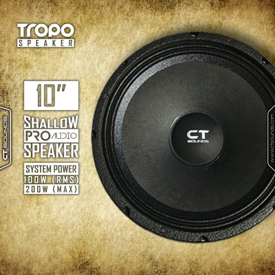 ct sounds door speakers