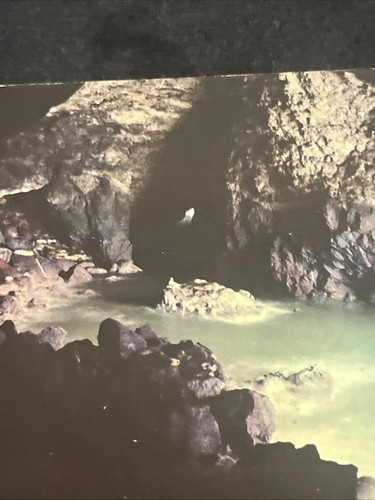 Postal Seal Lion Cave, Oregon Coast, Morton Luman - Imagen 4 de 10