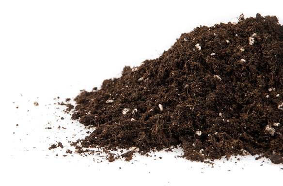 Plagron Lightmix mit Perlite 50L, Growerde Plagron Light Mix 50L 3