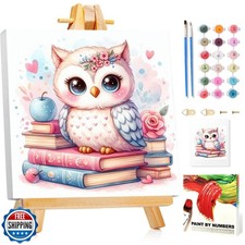 Mandun Paint by Numbers Kit for Kids with Frame, Owl Paint by Num