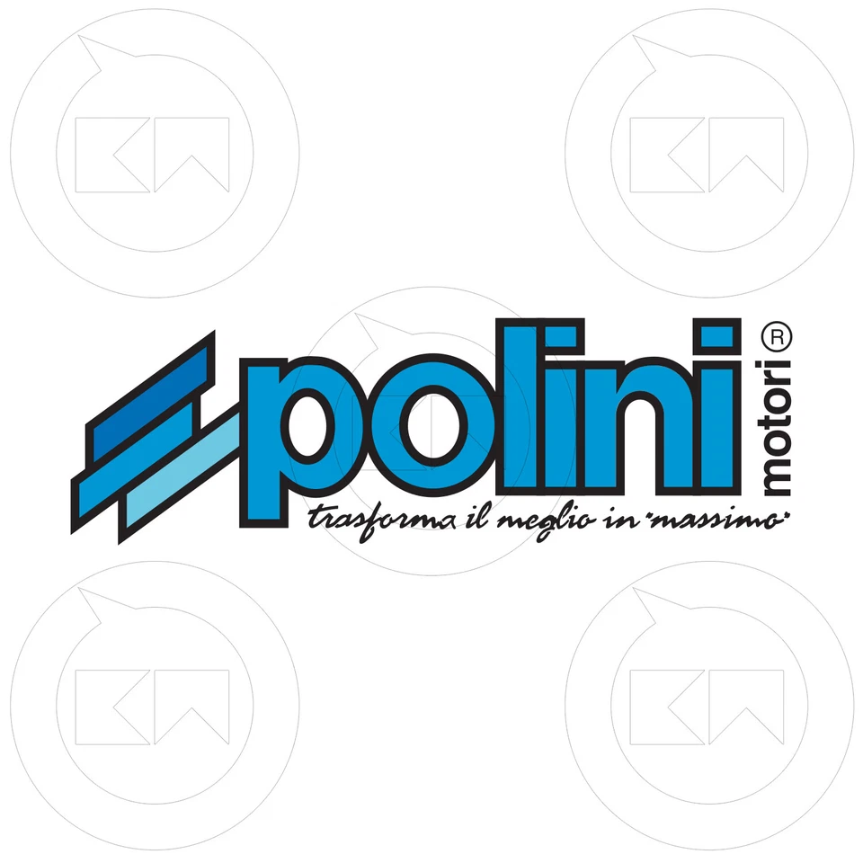 POLINI 113.2001 KIT GRUPPO TERMICO Ø47 H2o 75cc ALLUMINIO FRANCO MORINI GS.A 50 - Immagine 2 di 2