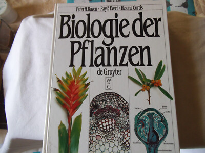 P.H. Raven / R.E. Evert / H. Curtis: Biologie der Pflanzen