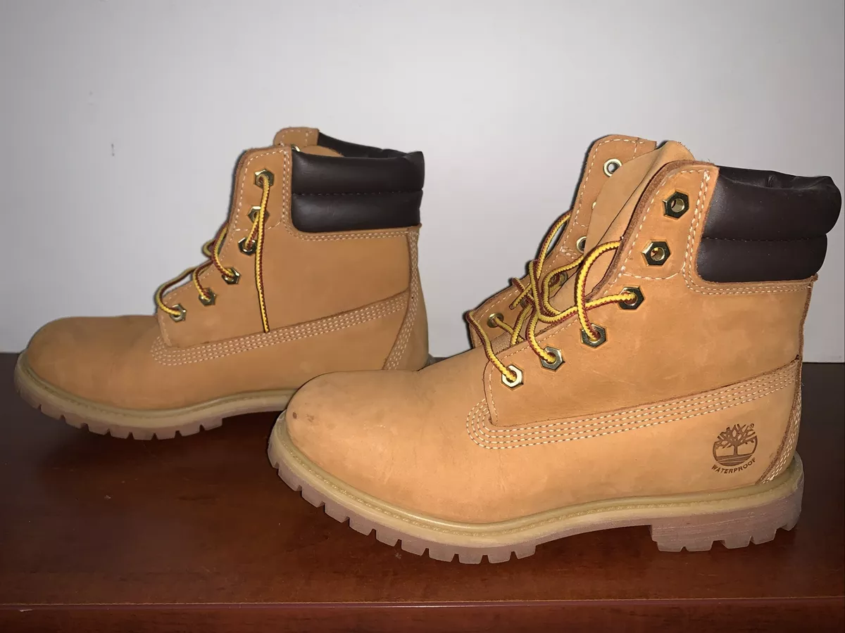 Timberland 6 inch 2025 double collar