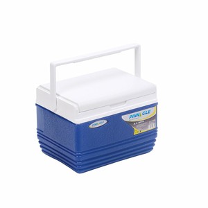 eskimo ice box