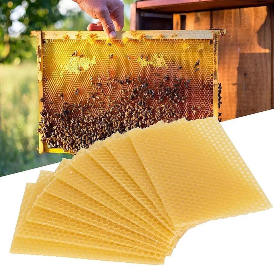 10PCS Beeswax Foundation Bee Hive Wax Frames Beekeeping m n Honeycomb Sheet O2N3 - Image 4 of 4
