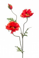Artplants KüNstliche Blume Mohnblume Lopez, Rot, 90Cm