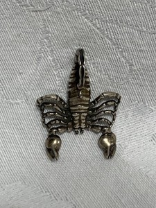Sterling 925 Scorpion Scorpio Zodiac Pendant October November necklace star sign