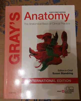 Grays Anatomy: Die anatomischen Grundlagen der klinischen Praxis von Standring: Neu