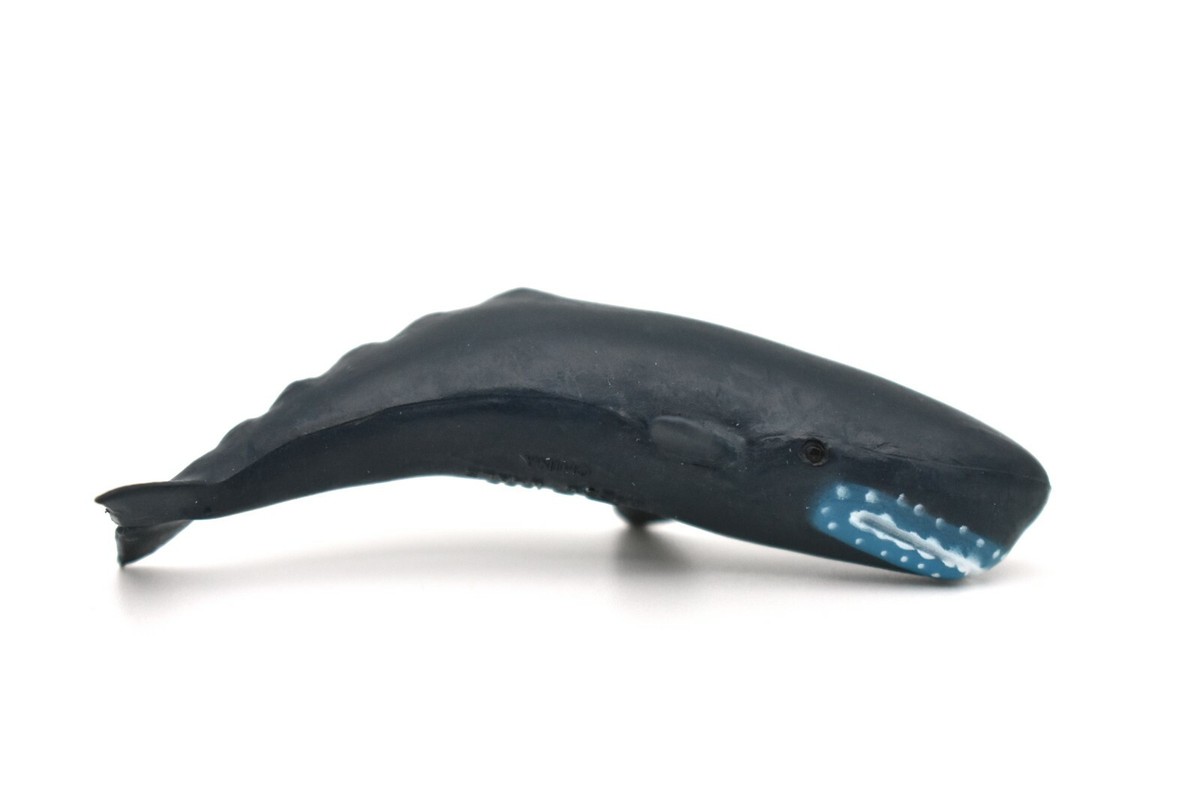 Sperm Whale, Very Nice Plastic Replica 3