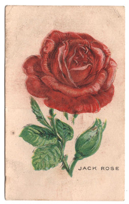 1920s Jack Rose Flower Card D35 (SMALL) Weber Baking Pulman Bread