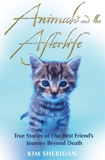 Animals & The Afterlife