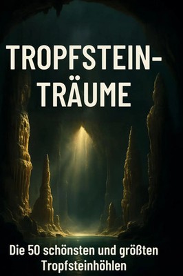 Lucas Meyer | Tropfstein-Träume | Buch | Deutsch (2025) | 106 S. | FlipFlop