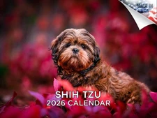 Shih Tzu Dog Breed Calendar 2026 12x18 Made in USA