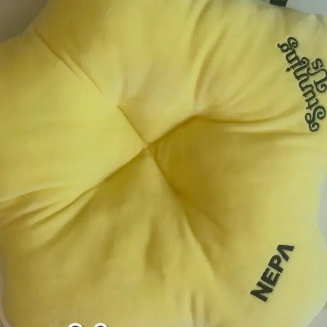 Lee Junho Stargoods Stirlingus Cushion Pre-Owned