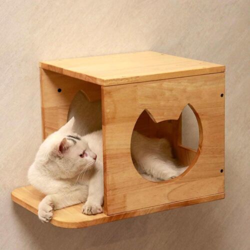 PETOMG Cat Shelves, Rubber Wood DIY Cat Shelves| Wall Mounted Set - Picture 6 of 8