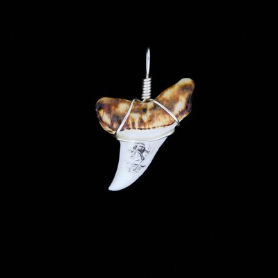 1-1/2'' Modern Mako Tooth Pendant, Burnt Root & Scrimshaw