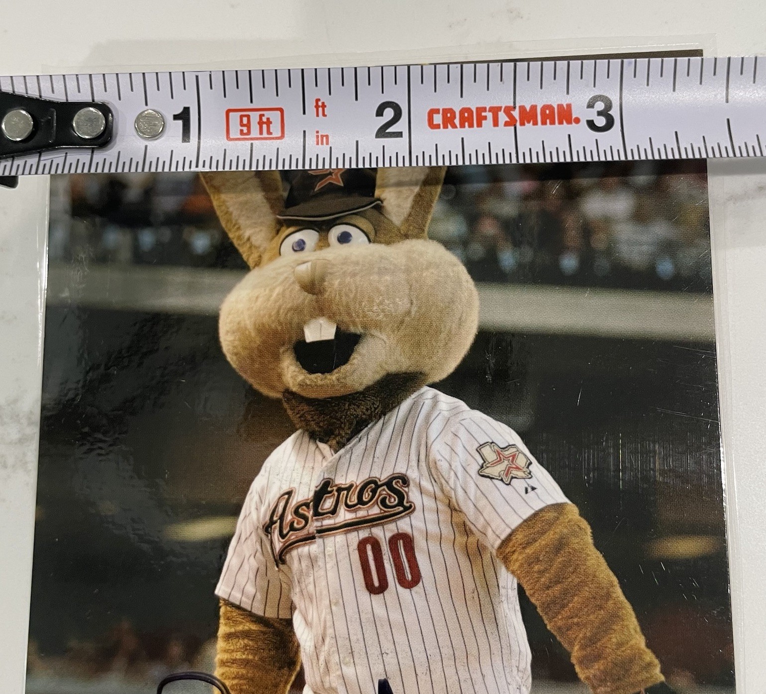 Junction Jack Mascot Autographed Signed Promo Card Houston Astros ...