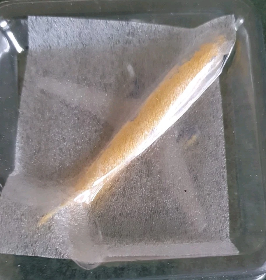 lHERPA WINGS 500470  BOEING 737-300  THE SIMPSONS 1:500 SCALE DIECAST PLANE MIB  - Image 2 of 4