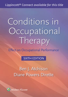 Conditions in Occupational The - GOOD